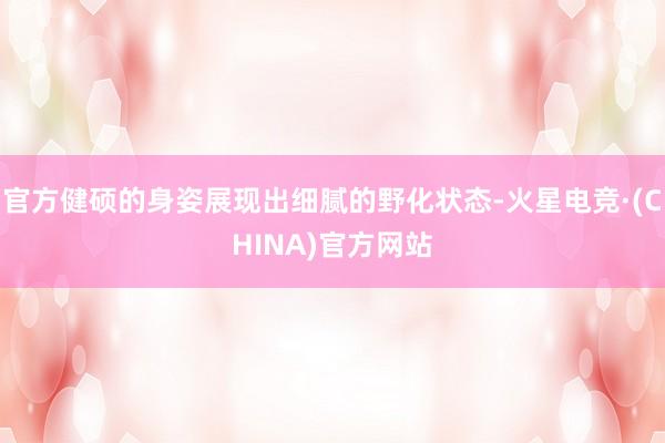 官方健硕的身姿展现出细腻的野化状态-火星电竞·(CHINA)官方网站