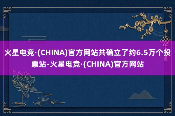火星电竞·(CHINA)官方网站共确立了约6.5万个投票站-火星电竞·(CHINA)官方网站