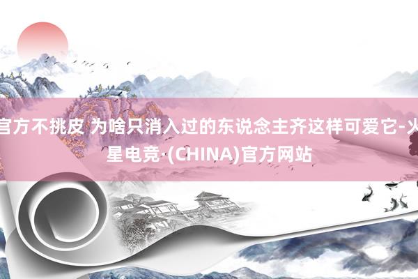 官方不挑皮 为啥只消入过的东说念主齐这样可爱它-火星电竞·(CHINA)官方网站