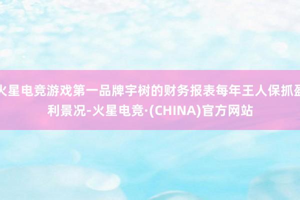 火星电竞游戏第一品牌宇树的财务报表每年王人保抓盈利景况-火星电竞·(CHINA)官方网站