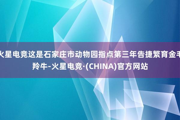 火星电竞这是石家庄市动物园指点第三年告捷繁育金毛羚牛-火星电竞·(CHINA)官方网站