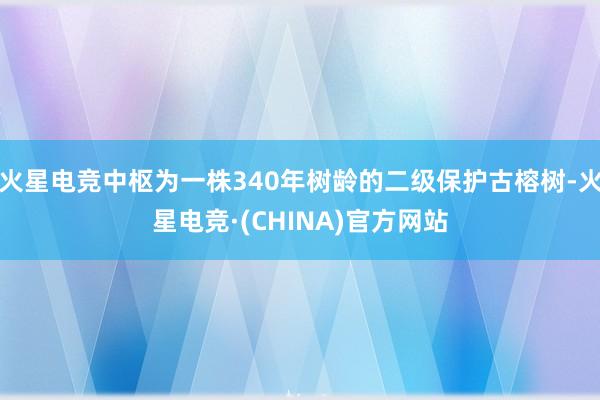 火星电竞中枢为一株340年树龄的二级保护古榕树-火星电竞·(CHINA)官方网站