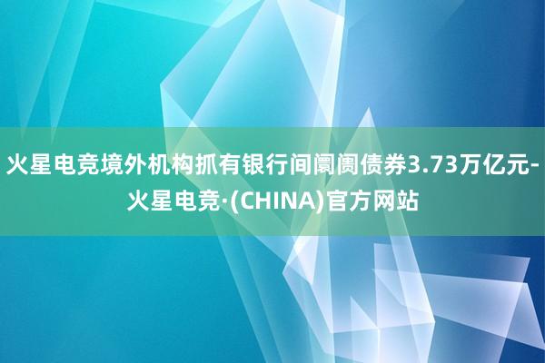 火星电竞境外机构抓有银行间阛阓债券3.73万亿元-火星电竞·(CHINA)官方网站